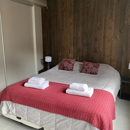 Aluen - Andarlibre Apartman San Martín de los Andes Kültér fotó